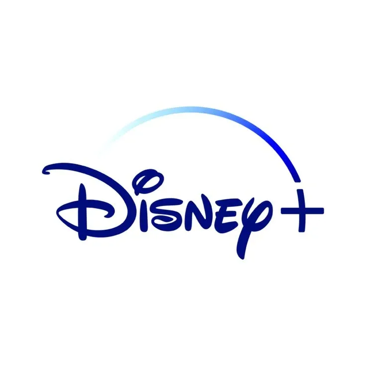 Disney+ 合租车